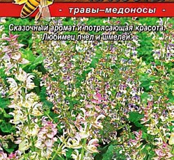 Шалфей мускатный Витамин красоты